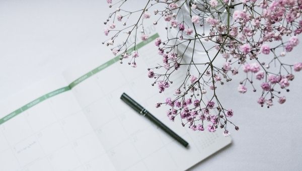 Covid-19, Com quedaran els terminis processals?